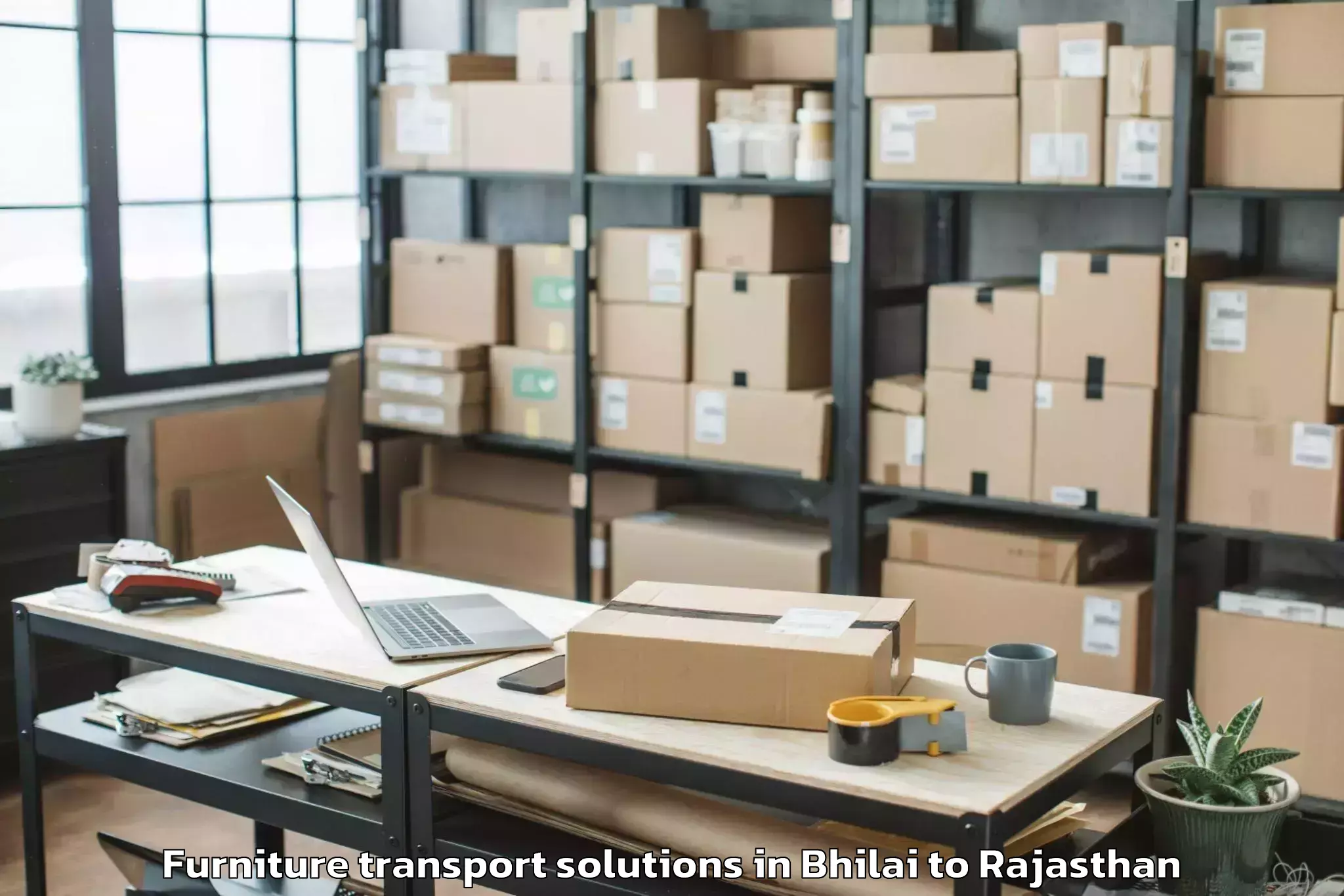 Book Bhilai to Salumbar Furniture Transport Solutions Online